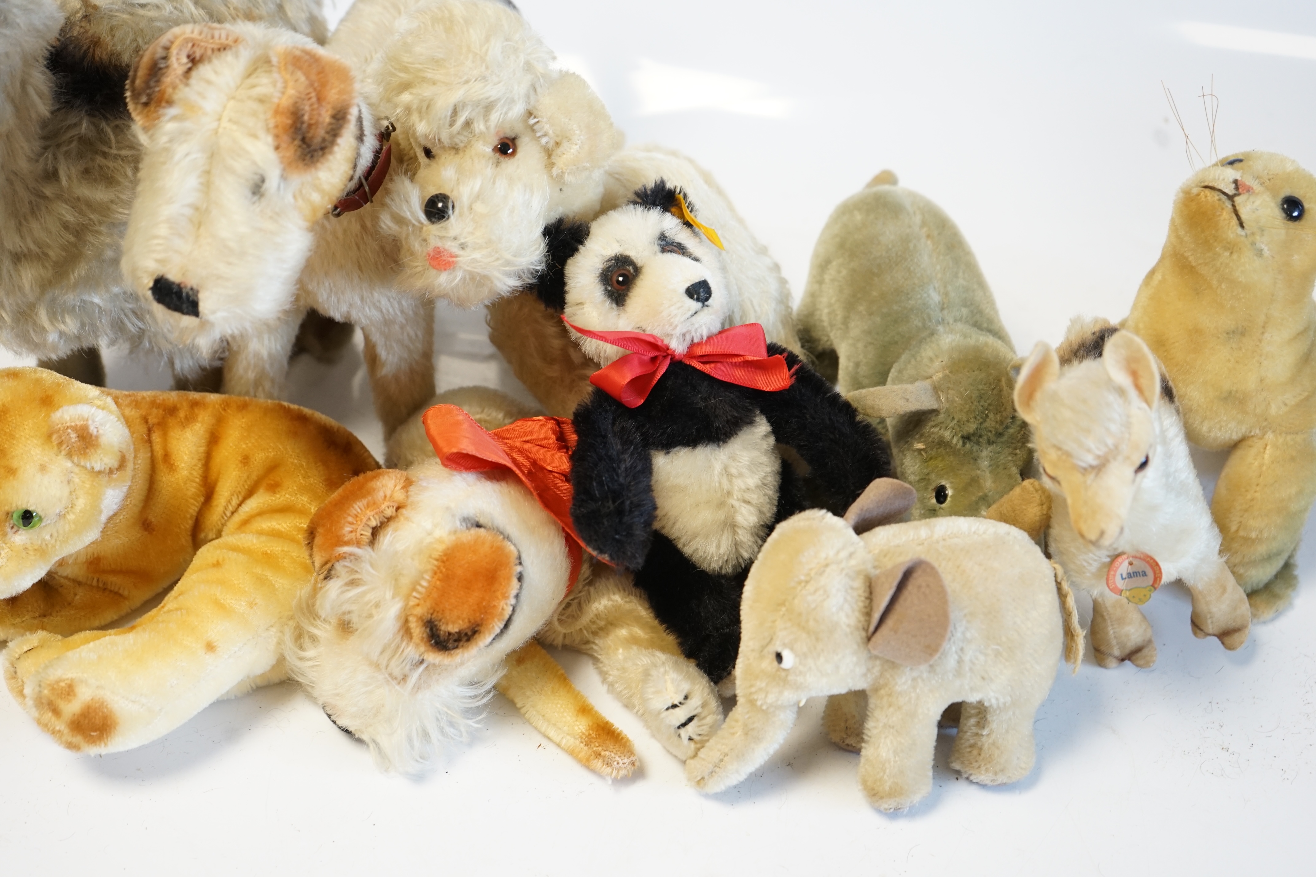 Ten assorted 1960's Steiff animals, some with I.D., some not, including Foxy the terrier and a Panda Teddy Baby. Condition - fair